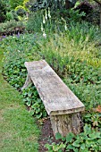 WOODEN BENCH IN A GARDEN