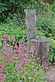 WOODEN SEAT IN A GARDEN BORDER