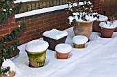 ASSORTMENT OF SNOW-TOPPED TERRACOTTA POTS