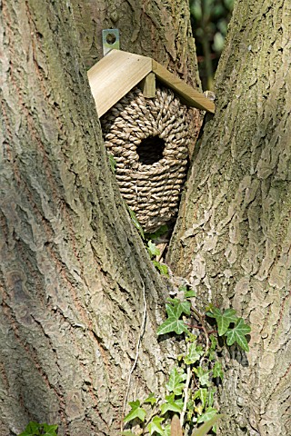 BIRD_BOX_POSITIONED_IN_A_TREE