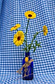 CALENDULA OFFICINALIS, IN A BLUE BOTTLE