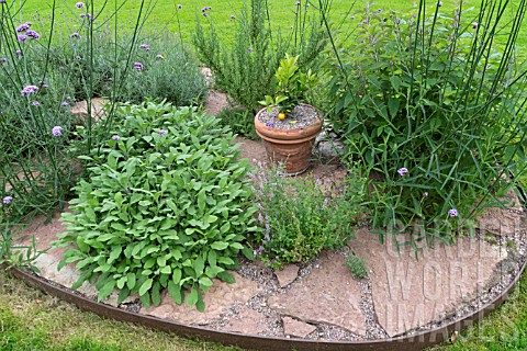 HERB_PATCH