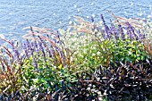 FLOWER BORDER BESIDE A LAKE