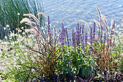 FLOWER_BORDER_BESIDE_A_LAKE