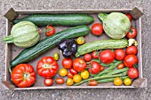 ALLOTMENT HARVESTED VEGETABLES