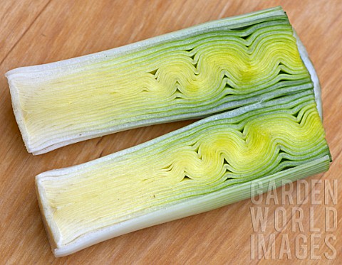 LEEK_CUT_IN_HALF_SHOWING_ALTERED_GROWTH