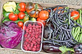 BOX OF ORGANIC VEGETABLES