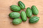 MELOTHRIA SCABRA, CUCAMELON