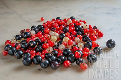 RIBES_BLACK_RED_AND_WHITE_CURRANTS