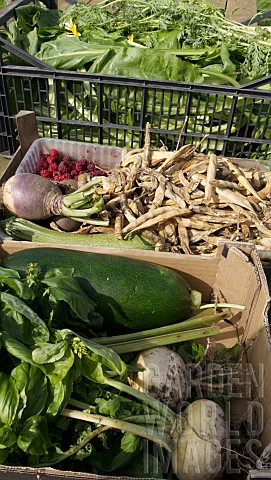 BOXES_OF_FRESHLY_HARVESTED_ORGANIC_GARDEN_PRODUCE