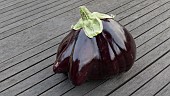 MISSHAPEN AUBERGINE JACKPOT F1, SOLANUM MELONGENA