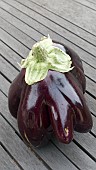 MISSHAPEN AUBERGINE JACKPOT F1, SOLANUM MELONGENA