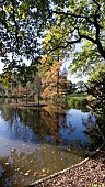 AUTUMN AT SEVEN ACRES LAKE, RHS WISLEY