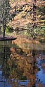 AUTUMN AT SEVEN ACRES LAKE, RHS WISLEY