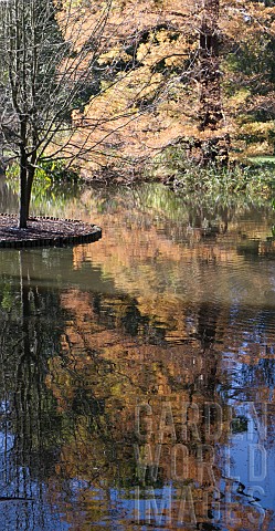 AUTUMN_AT_SEVEN_ACRES_LAKE_RHS_WISLEY