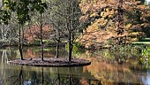 AUTUMN AT SEVEN ACRES LAKE, RHS WISLEY