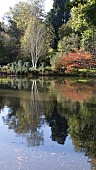 AUTUMN AT SEVEN ACRES LAKE, RHS WISLEY