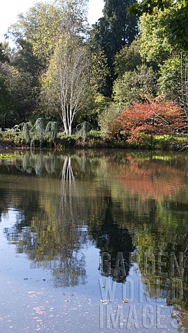 AUTUMN_AT_SEVEN_ACRES_LAKE_RHS_WISLEY