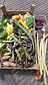 FRESHLY HARVESTED ORGANIC FRUIT AND VEGETABLES