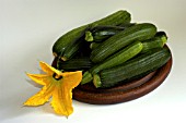COURGETTE AND ZUCCHINI WITH FLOWER ON PLATE