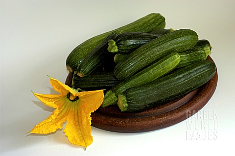 COURGETTE_AND_ZUCCHINI_WITH_FLOWER_ON_PLATE