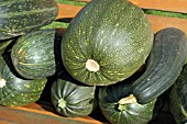 MARROWS (ORGANIC VEGETABLES)