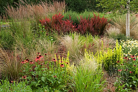 JOHNS_GARDEN_AT_ASHWOOD_NURSERIES__GRASSES_WITH_SHRUBS_AND_PERENNIALS