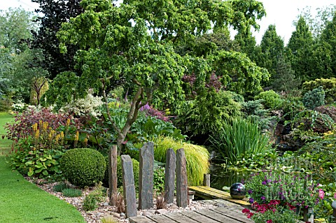 JOHNS_GARDEN_AT_ASHWOOD_NURSERIES___POOL_WITH_SURROUNDING_SHRUBS_CONIFERS_TREE_AND_STAGING