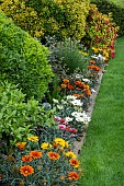 SHRUB BORDER EDGED WITH GAZANIAS