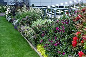 MIXED SHRUB BORDER