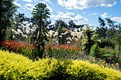 SUMMER GARDEN AT RHS HYDE HALL, ESSEX