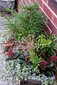 AUTUMN PLANTER