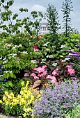 MIXED BORDER