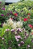 MIXED BORDER PLANTING