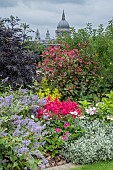 SHRUB & PERENNIAL BORDER ON LONDON ROOF GARDEN