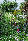 MIXED EXOTIC BORDER ON LONDON ROOF GARDEN