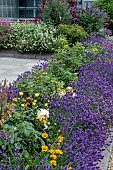 MIXED BORDERS