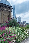LONDON ROOF GARDEN