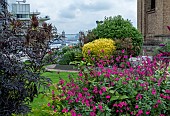 LONDON ROOF GARDEN