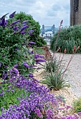 LONDON ROOF GARDEN MAUVE BORDER