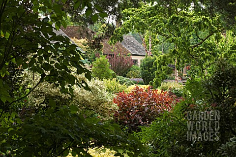 JOHNS_GARDEN_AT_ASHWOOD_NURSERIES
