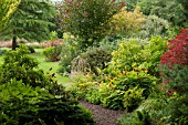 JOHNS GARDEN AT ASHWOOD NURSERIES