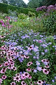 SUMMER PERENNIAL BORDER