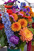 AUTUMN GARDEN FLOWERS