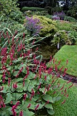 SUMMER PERENNIAL BORDER WITH WATER FEATURE