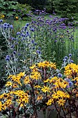 BOLD TALL PERENNIAL BORDER