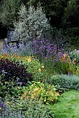 PERENNIAL AND ANNUAL BORDER