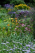 PERENNIAL BORDER IN SUMMER