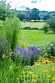 PERENIALS IN SUMMER WITH LANDSCAPE BACKGROUND