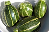 COURGETTE SUMMER PICCOLO